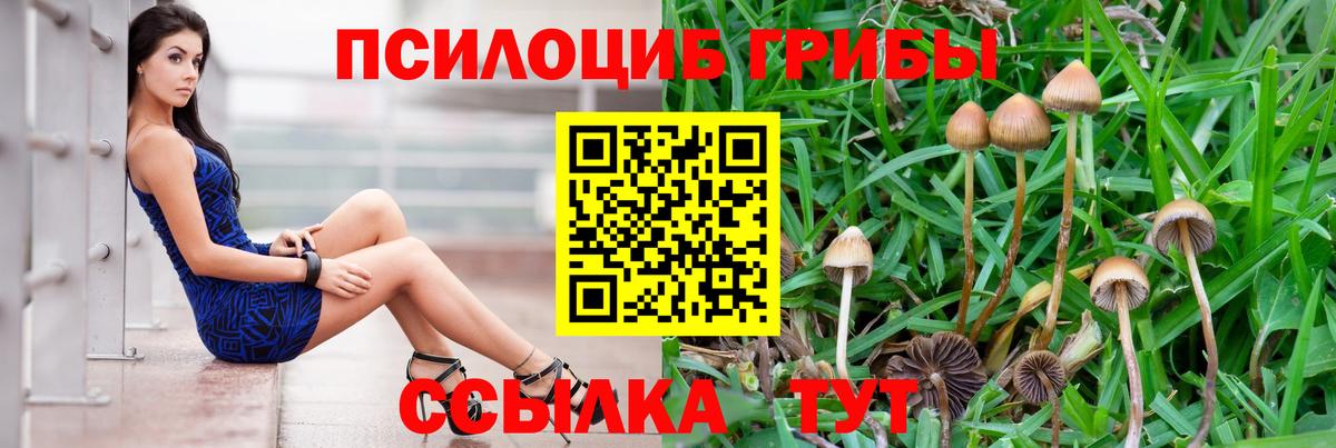 Усть-Илимск  Галлюциногенные грибы мицелий  Вход с VPN  Псилоцибиновые грибы ЛСД 