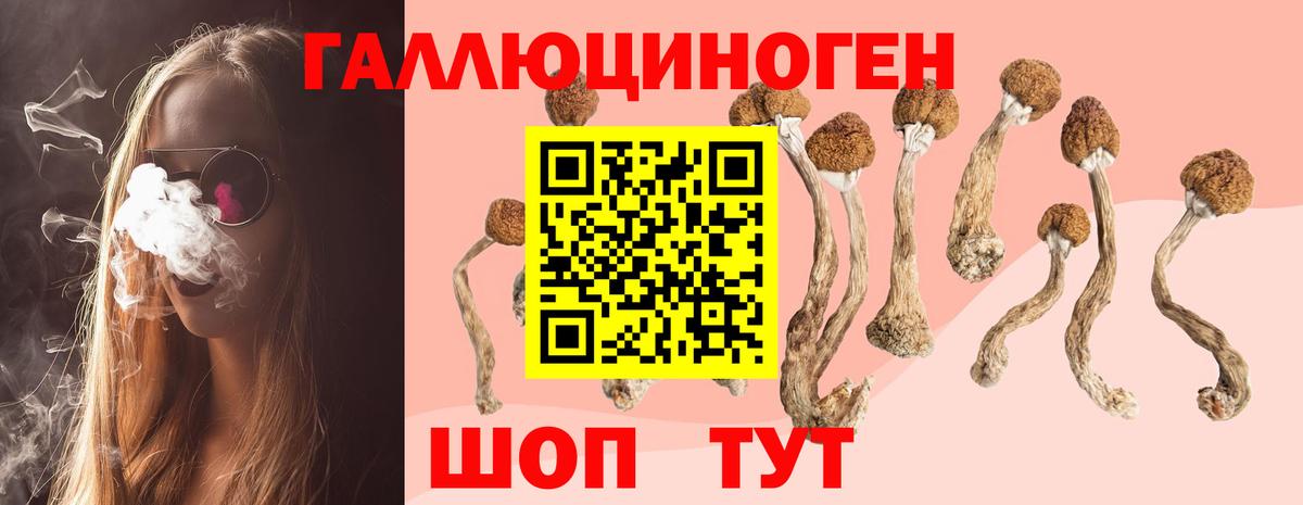 Галлюциногенные грибы MAGIC MUSHROOMS Усть-Илимск